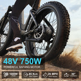 AIRWEST Ebike 26 Inch Fattire Electric Bike PIONEERS 1.2